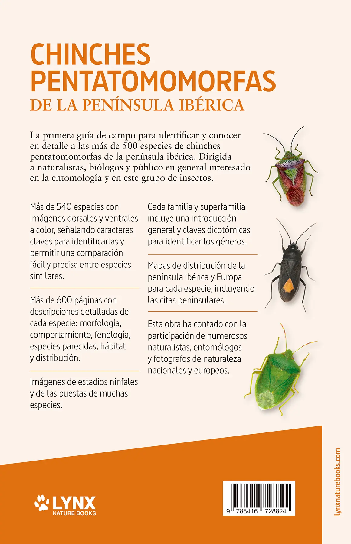 Chinches pentatomomorfas de la península ibérica - Imatge 3