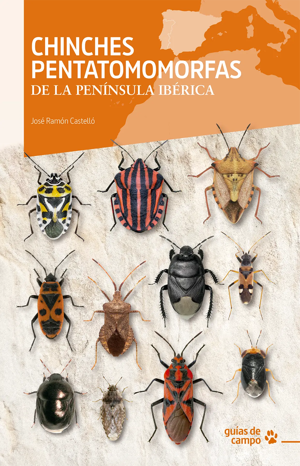 Chinches pentatomomorfas de la península ibérica - Imatge 2
