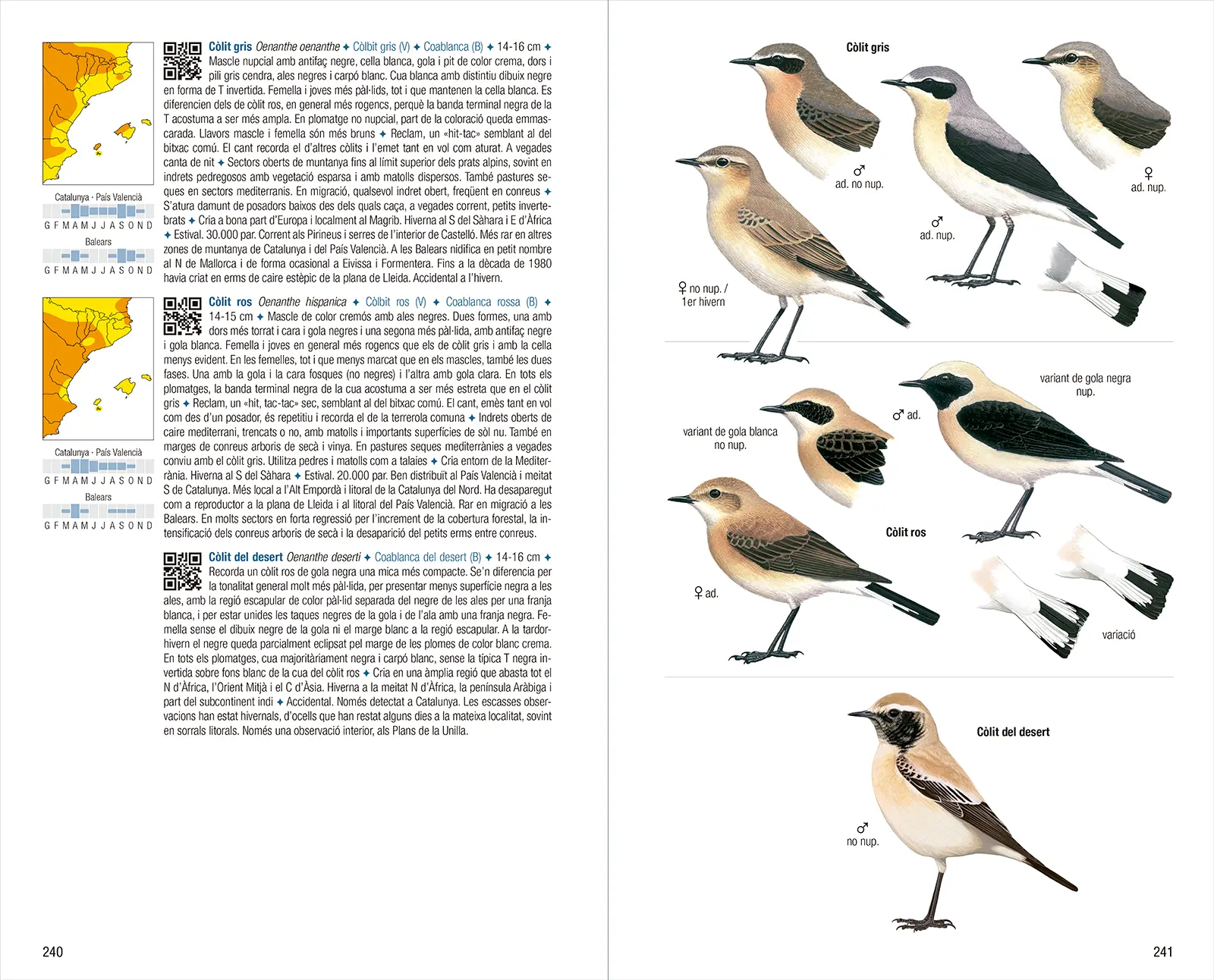 Ocells de Catalunya, País Valencià i Balears - 4a edició - Imatge 7